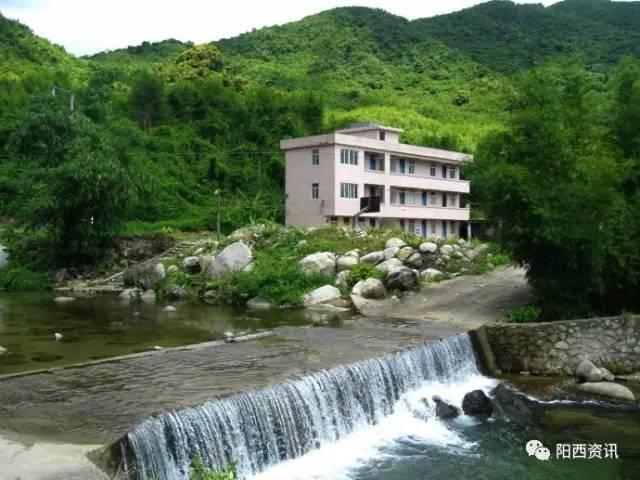《猩球崛起4：新世界》曝剧照 人猿踏上未知旅途